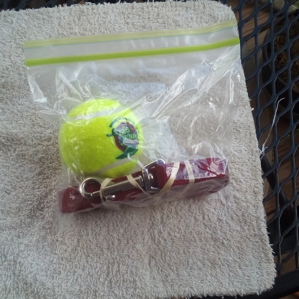Leash and Ball Emergency Kit